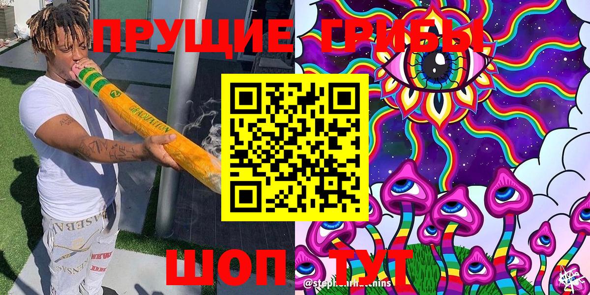 Псилоцибиновые грибы прущие грибы Губкинский