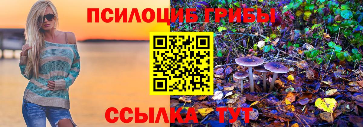 Губкинский  Галлюциногенные грибы GOLDEN TEACHER  Вход с VPN 